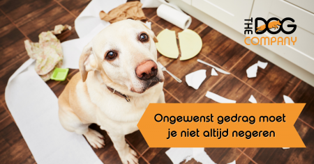 Ongewenst gedrag moet je niet altijd negeren 9 ongewenst gedrag header