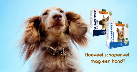 Hoeveel schapenvet mag een hond? 10 schapenvet hoeveel header