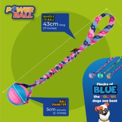 Powerball Bungee
