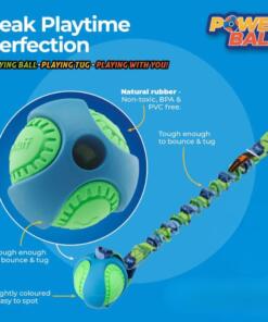 PowerBall Bungee 13 Powerball Bungee