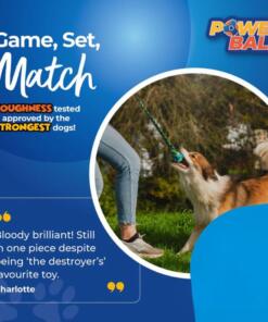 PowerBall Bungee 14 Powerball Bungee