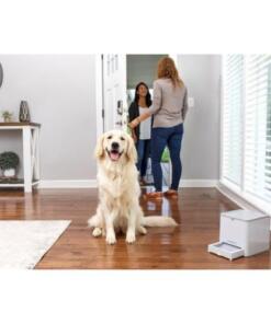 Teach & Treat afstandsbeloner 29 Teach & Treat afstandsbeloner