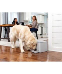 Teach & Treat afstandsbeloner 31 Teach & Treat afstandsbeloner