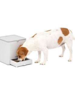 Teach & Treat afstandsbeloner 21 Teach & Treat afstandsbeloner