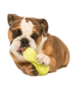 Qwizl Snackhouder 29 Qwizl