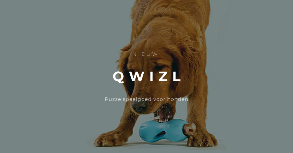 Qwizl puzzelspeelgoed voor honden
