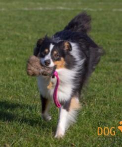 Konijn tug met pieper 9 Konijn tug met pieper