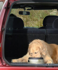 Roadrefresher 16 Roadrefresher