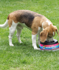 Roadrefresher 19 Roadrefresher