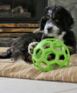 Hol ee Roller gatenbal JW 20 Hol ee roller