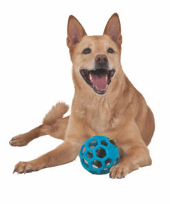 Hol ee Roller gatenbal JW 22 Hol ee roller