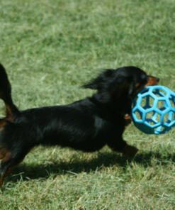 Hol ee Roller gatenbal JW 23 Hol ee roller