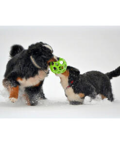 Hol ee Roller gatenbal JW 26 Hol ee roller