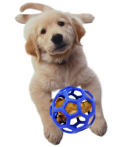 Hol ee Roller gatenbal JW 28 Hol ee roller