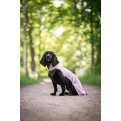 Zwarte cocker spaniel draagt Pomppa JumppaPomppa in kleur Elderberry, zittend op bospad