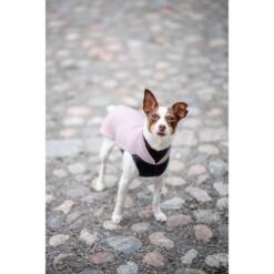 Fox terrier draagt Pomppa JumppaPomppa fleece trui in kleur Elderberry, staand op kasseien