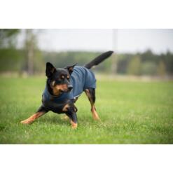 Pomppa JumppaPomppa Fleece Trui Hond 19 Actieve zwart-bruine hond draagt Pomppa JumppaPomppa in kleur Midnight terwijl hij rent op grasveld
