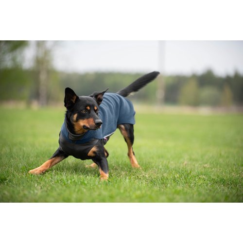 Pomppa JumppaPomppa Fleece Trui Hond 10 Actieve zwart-bruine hond draagt Pomppa JumppaPomppa in kleur Midnight terwijl hij rent op grasveld