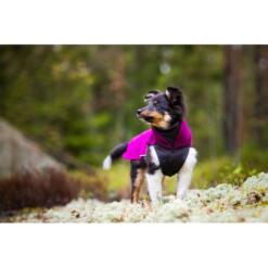 Pomppa JumppaPomppa Fleece Trui Hond 20 Collie puppy draagt Pomppa JumppaPomppa fleece trui in kleur Plum, staand in Scandinavisch bos met mos