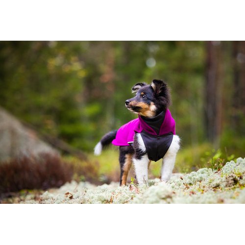 Pomppa JumppaPomppa Fleece Trui Hond 11 Collie puppy draagt Pomppa JumppaPomppa fleece trui in kleur Plum, staand in Scandinavisch bos met mos
