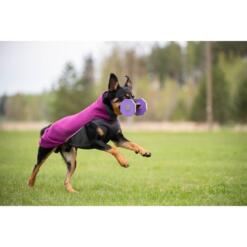 Pomppa JumppaPomppa Fleece Trui Hond 21 Hond apporteert met houten halter en draagt Pomppa JumppaPomppa in kleur Plum, actieshot op grasveld