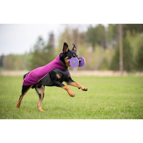 Pomppa JumppaPomppa Fleece Trui Hond 12 Hond apporteert met houten halter en draagt Pomppa JumppaPomppa in kleur Plum, actieshot op grasveld