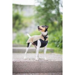 Tricolor fox terrier draagt Pomppa JumppaPomppa fleece trui in kleur Sand, staand op stenen trap buitenshuis