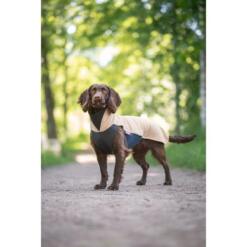 Bruine spaniel draagt Pomppa JumppaPomppa fleece trui in kleur Sand, staand op bospad en kijkend naar camera