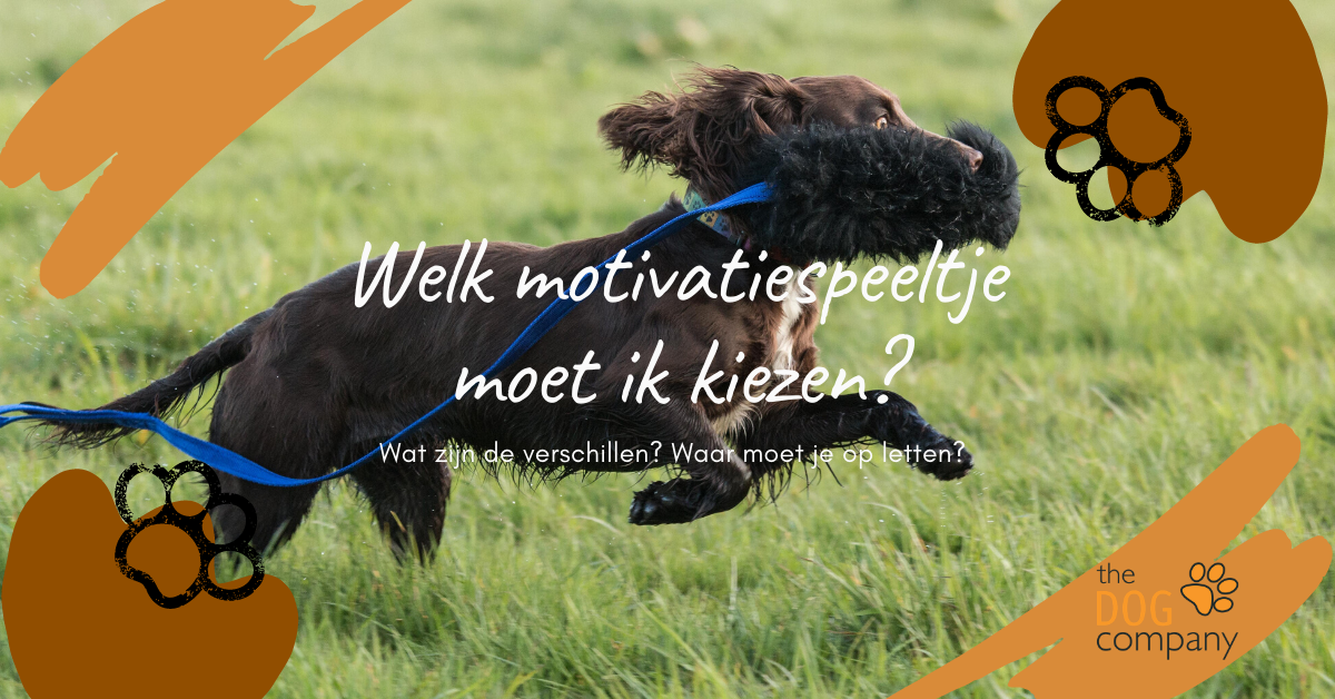 Welk motivatiespeeltje moet ik kiezen?