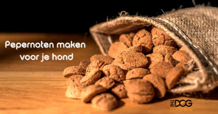 Zo maak je zelf pepernoten voor je hond! 2 pepernoten header