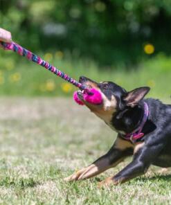 Bright Fauxtastic - Tug-E-Nuff - Bright Fauxtastic