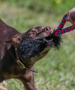 Pocket Magnet 13 Pocket Magnet - Tug-E-Nuff - Pocket Magnet