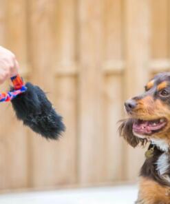 Pocket Magnet 12 Pocket Magnet - Tug-E-Nuff - Pocket Magnet