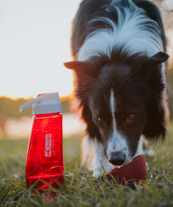 Gourd H2O Drinkfles 26 Gourd H2O Drinkfles