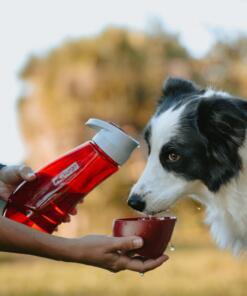 Gourd H2O Drinkfles 28 Gourd H2O Drinkfles