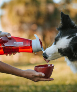 Gourd H2O Drinkfles 31 Gourd H2O Drinkfles