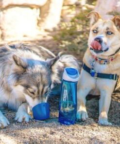 Gourd H2O Drinkfles 32 Gourd H2O Drinkfles