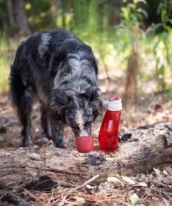 Gourd H2O Drinkfles 33 Gourd H2O Drinkfles