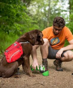 Gourd H2O Drinkfles 35 Gourd H2O Drinkfles