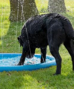 Splash Pool Water Sproeier