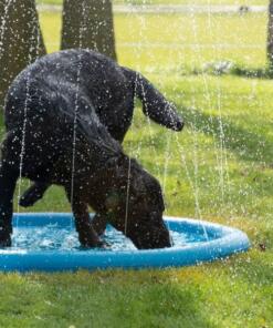 Splash Pool Water Sproeier