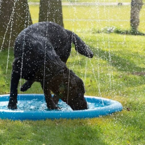 Splash Pool Water Sproeier