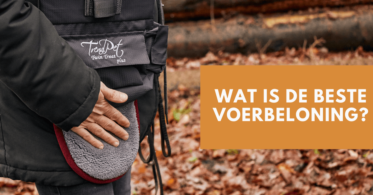 Wat is de beste voerbeloning voor mijn hond?