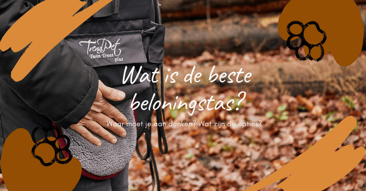 Wat is de beste beloningstas