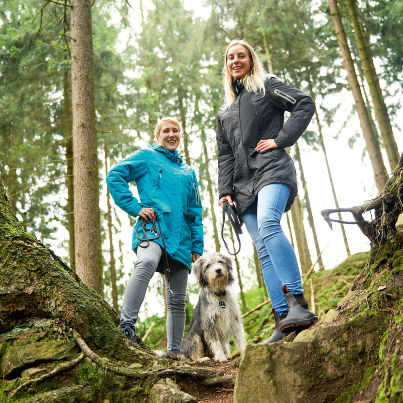 Albany Damesparka Owney 4 Albany