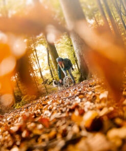 Albany Damesparka Owney 40 Albany