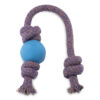 Beco Ball on a rope