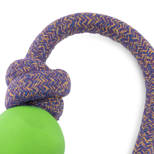 Beco Ball on a rope