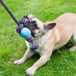 Beco Ball on a rope