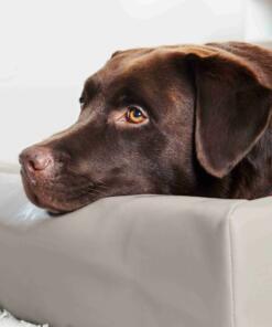 BiaBed Original - fotos met omgeving